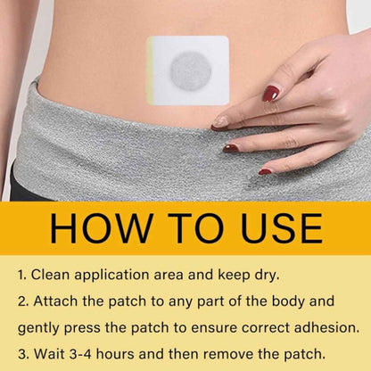 Bee Venom Lymphatic Daiamage & Sliming Patches (10 Patches)