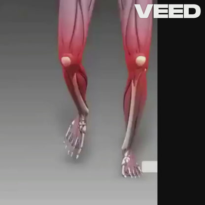 Bee Venom Joint and Bone Therapy Cream 100gm (Pack of 1)